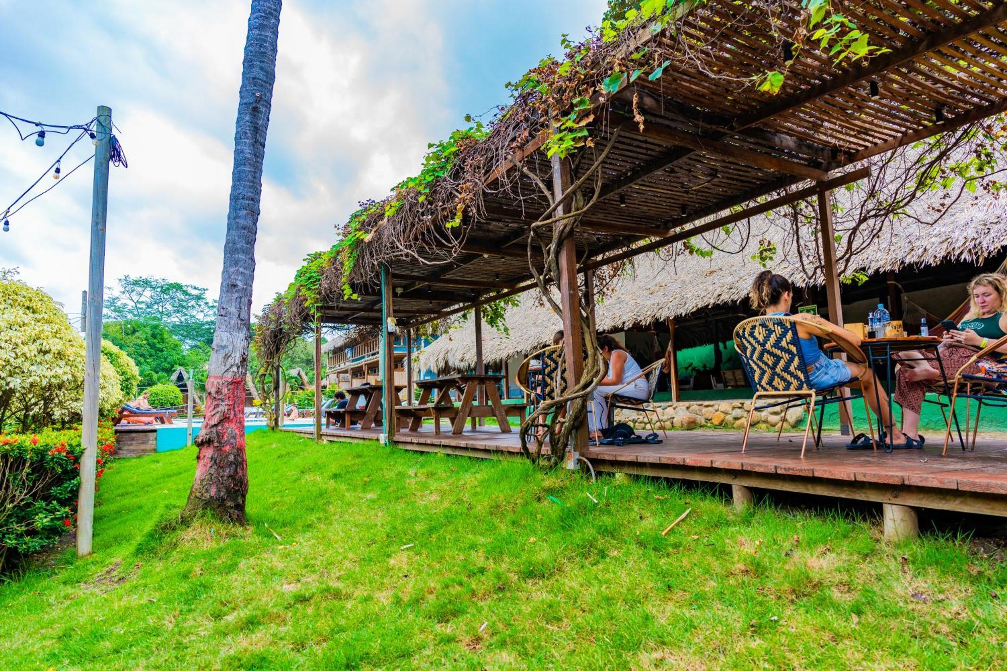 Tiki Hut Hostel Palomino Exterior photo