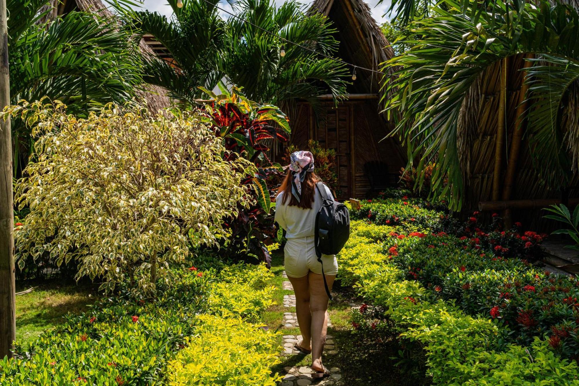 Tiki Hut Hostel Palomino Exterior photo