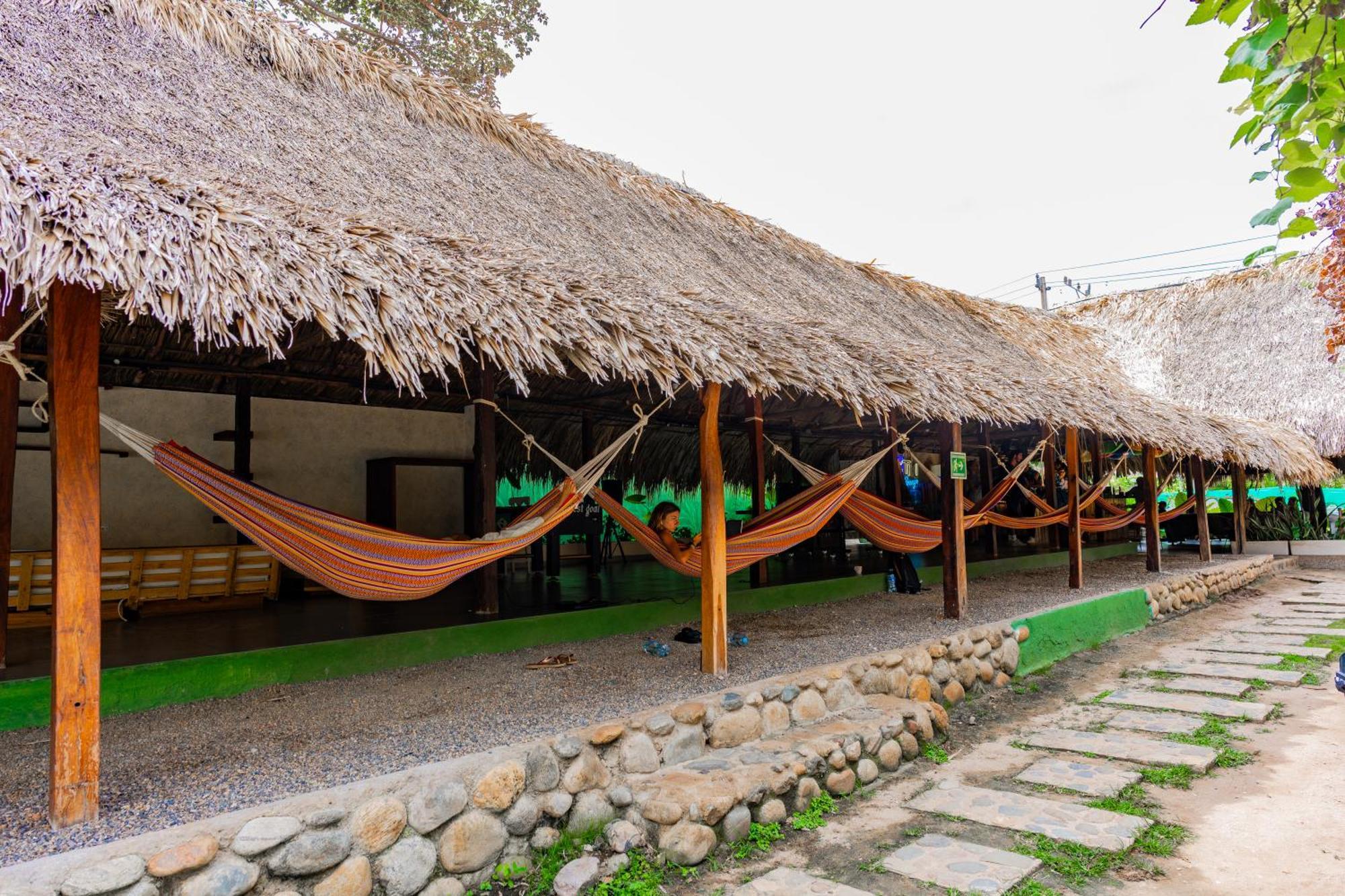 Tiki Hut Hostel Palomino Exterior photo